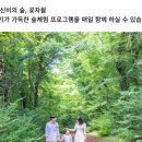 에코랜드 호텔 이미지