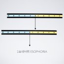 아이필안경 이미지