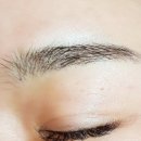 엘속눈썹 이미지