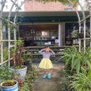 숲속에 우산정원 이미지