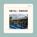 우리단비랑 | 보홀 태교 여행 가성비 단비리조트 입국팩 이용 후기 내돈내산(픽업서비스, 조식후기)