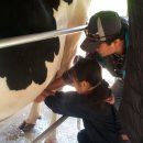 농도원목장 이미지