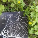 (사)녹색문화컨텐츠개발연구원 이미지