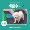 웰케어 동물건강검진센터·동물한방재활센터 이미지