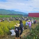 광의초교 이미지