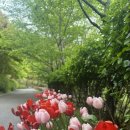 율곡수목원(4) 이미지