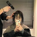 Shibuncho(시분초) | 전포미용실/ 겨울 염색 톤다운 '시분초' 해찬 디자이너