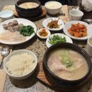 마선생국밥부산서면점 | 서면 미슐랭 국밥 아이와 가기 좋은 돼지국밥 맛집 안목