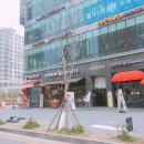 동탄대로시범길L 이미지