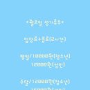 춘천고양이집
