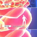 호병골 | [포천]최광닭발 (구)포천호병골닭발 본점 포장 후기