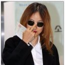 타파스(TAPAS) 이미지