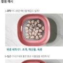 야채과일 이미지