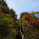 2026년 10월 20일(462차) 설악산-흘림골-단풍 산행~~ 이미지