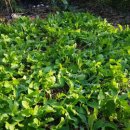 재부 농장 이미지