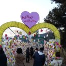 1박2일/보성차밭빛축제&amp;남도여행+맛기행 이미지