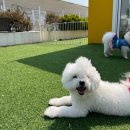 안양유치원 이미지