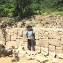 돌담농장 이미지