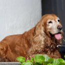 계양동물병원 이미지