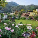 화산중학교 이미지