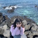 제주도 뚜벅이 여행 1박 2일 코스 (3) 2일차: 곽지해수욕장, 카페태희, 구엄리돌염전, 하루필름 애월점...