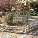 대구학산초등학교 이미지