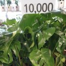 연빈화실 이미지