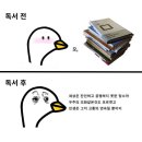 4월의 기록 - 다 죽어버린 세계에서도 청춘과 순정과 우울을 찾아낼 걸 아니까.