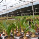 상원농원 이미지