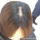 헤어라시타 이미지