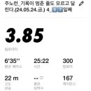 아라참치 이미지