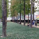 청계천길 이미지