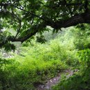 서산대사 옛길 이미지