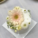 안양-안양-안양-523 이미지