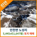 참신한공인중개사사무소 이미지