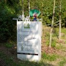 유한킴벌리 주식회사 이미지