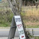 남해 사랑채 | 멸치쌈밥 생선구이 갈치조림 맛집 특산품 남해사랑채