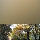 도락민박 이미지