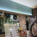 판교로255번길 | 성남 판교 샐러드 맛집 ‘건강해, 샐러드’ 푸짐한 다이어트 식단