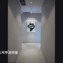 파인드피부과의원 네이버블로그