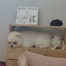 GS25뉴전주덕진점 | 10월 2주차: 추석 그리고 전주여행(추억이 너무 많아 정리하기도 힘들다!😊)