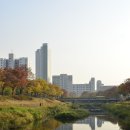 안산천 이미지