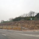 이화 행정사 사무소 이미지