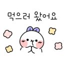 알프스1호카페 이미지