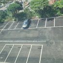 유폴 애견셀프목욕, 애견미용, 애견용품 직영점 이미지