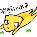 바브네이쳐 네이버블로그