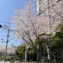 충무종합카 네이버블로그