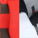 댕댕이라이프 이미지