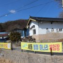 싱싱장구 이미지