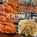 옥계양꼬치 | 구미 [옥계양꼬치] 옥계 본점 구미양꼬치 맛집